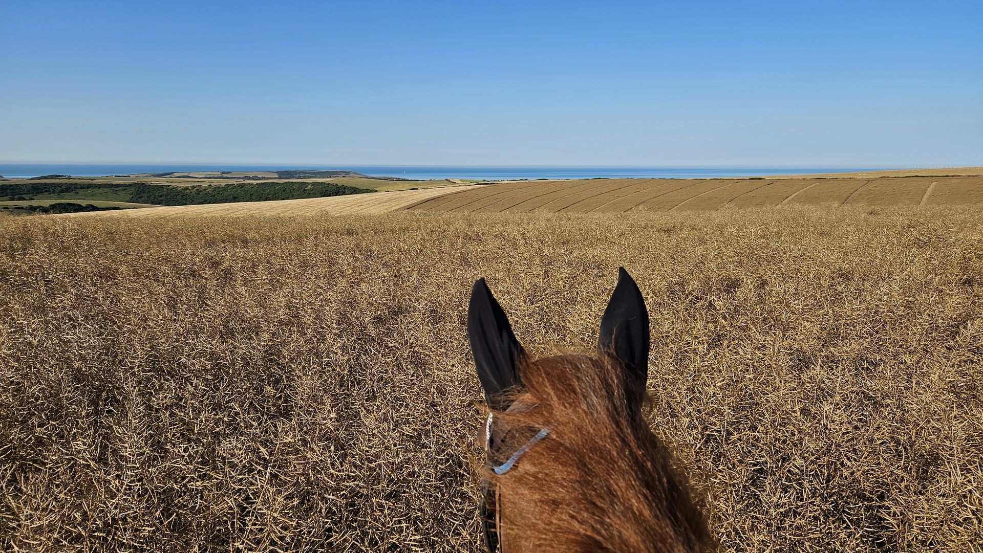 A distant view of a coastline between a horses ears