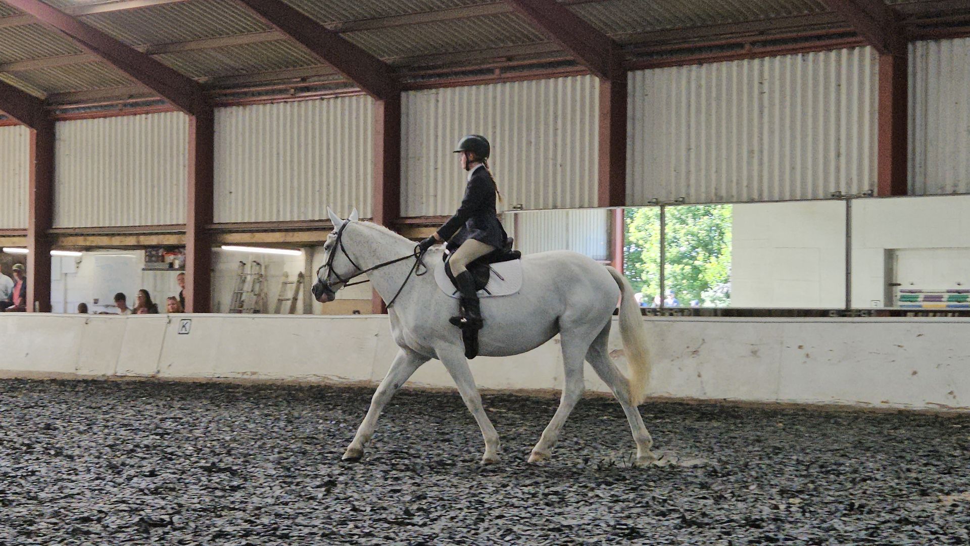 A horse doing dressage