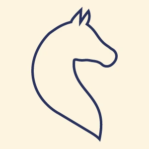 Elegant line art icon of a horse head representing equestrian gear
