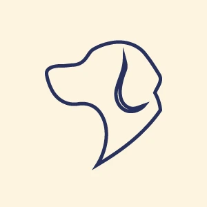 Elegant line art icon of a dog head representing canine gear