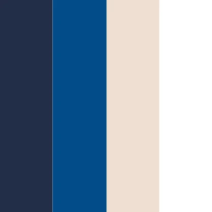 Anchor Point colour palette - navy, light blue, cream, and white BioThane swatches