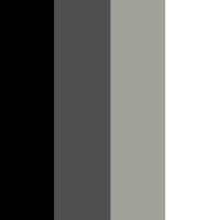 Basecamp colour palette - black, grey, and white BioThane swatches