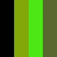 Electric Lime colour palette - fern green, pale green, bright green, and black BioThane swatches