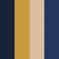 Dover colour palette - deep navy, taupe, and cream BioThane swatches