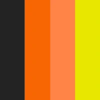 Orange Crush colour palette - safety orange, neon yellow, and black BioThane swatches
