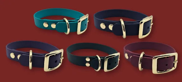 A flat-lay of five handcrafted BioThane dog collars in heritage jewel tones with gold brass hardware, displayed on a rich burgundy background. Why it works: It hits "handcrafted," "BioThane dog collars," and "brass hardware"—all high-intent search terms.