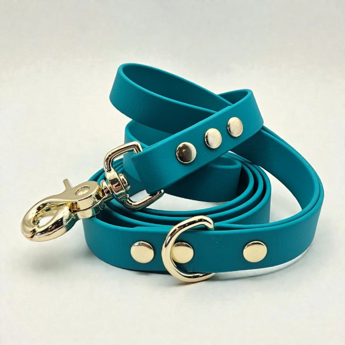 Caspian teal BioThane dog lead with premium gold brass clip—vibrant yet dignified waterproof gear for adventurous dogs.