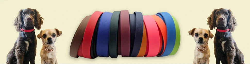 blog banner for Ponies and Pups blog "Why BioThane is Best"