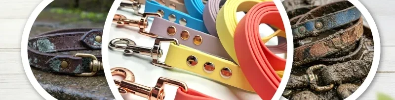 Blog banner for Ponies and Pups blog "BioThane vs. The World"