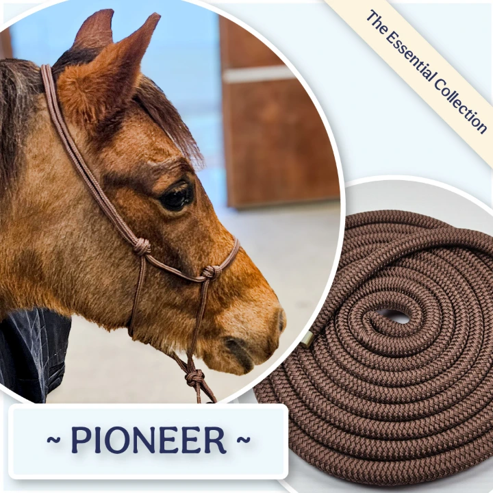 Robbie the pony wearing a Pioneer Brown precision rope halter and matching 14ft groundwork rope by Ponies & Pups.