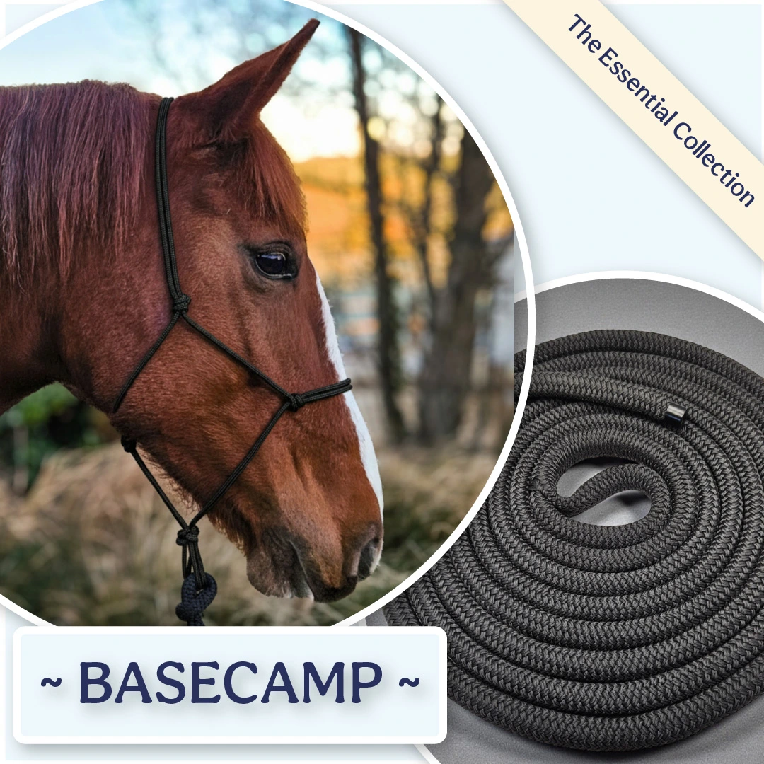 Patsy the horse wearing a Basecamp Black precision rope halter with gun metal grey hardware alongside a matching black groundwork rope.