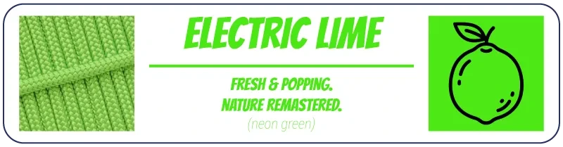 Colour Palette Description for Electric Lime Neon Green
