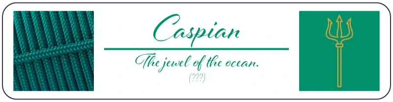 Colour Palette Description for Caspian Teal