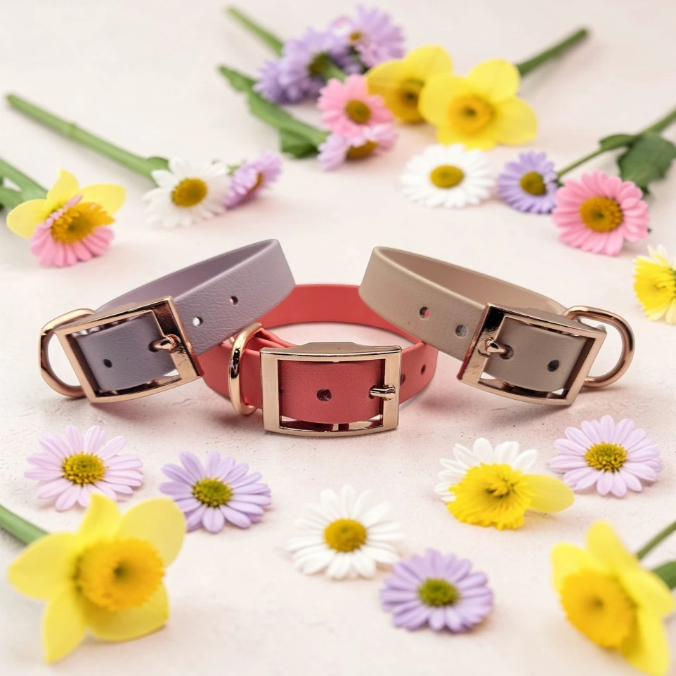 Three handcrafted BioThane® Classic Dog Collars in Lavender Dream, Cotton Tail, and Misty Coral arranged in a spring flatlay with pastel daisies.