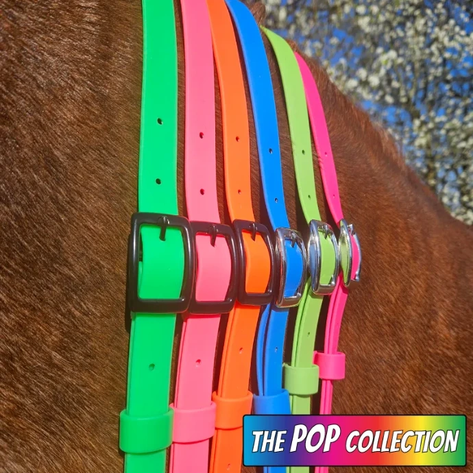 Vibrant BioThane neck straps from the Pop Collection draped over Patsy the pony’s neck—handcrafted, waterproof, and colourful bespoke equestrian gear.