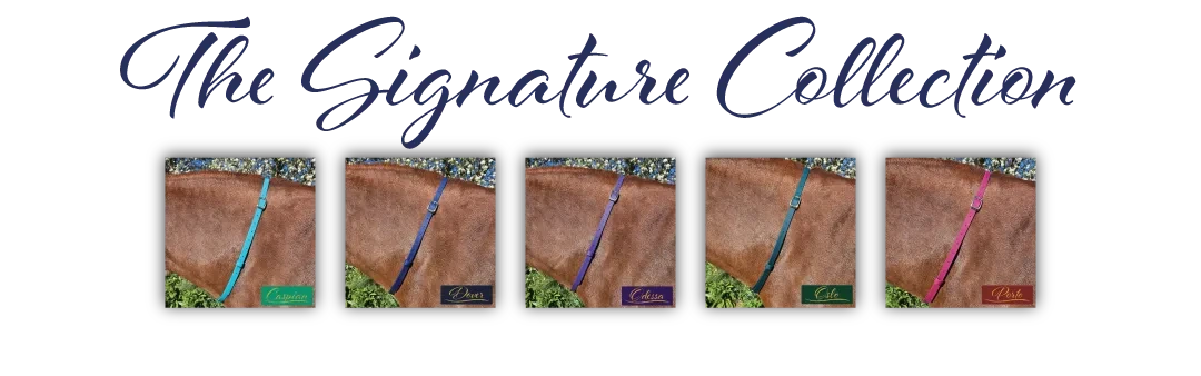The Signature Collection banner highlighting BioThane Adjustable Neck Straps in 5 luxury palettes of deep, rich tones. Premium, waterproof horse tack designed for both style and performance.