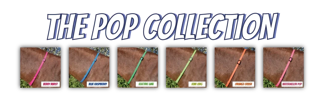 The Pop Collection banner by Ponies & Pups, showcasing BioThane Adjustable Neck Straps in 6 vibrant, high-vis palettes. Fun, colourful, and waterproof equestrian gear handcrafted for bold riders.