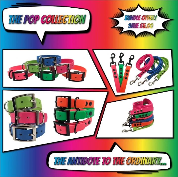 A vibrant lineup of the waterproof BioThane Classic Collar and Lead set in all six POP Collection palettes: Berry Burst, Blue Raspberry, Electric Lime, Kiwi Zing, Orange Crush, and Watermelon Pop.