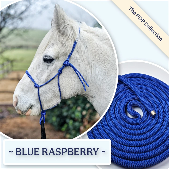 A Grey Cob pony modelling a handcrafted Blue Raspberry rope horse halter and groundwork rope from the Ponies &amp; Pups POP Collection.