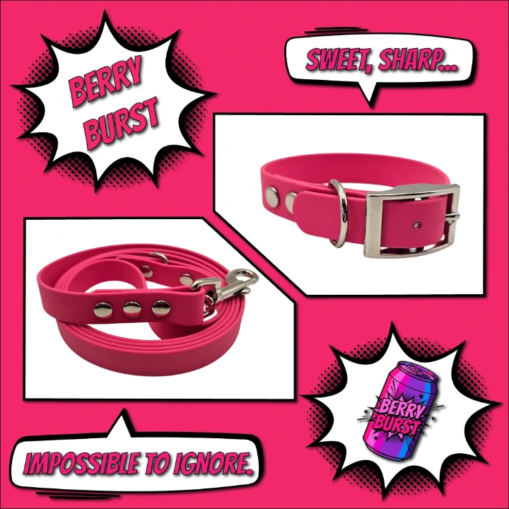 Handcrafted waterproof BioThane dog collar and matching lead in the Berry Burst pink and purple palette from The POP Collection.