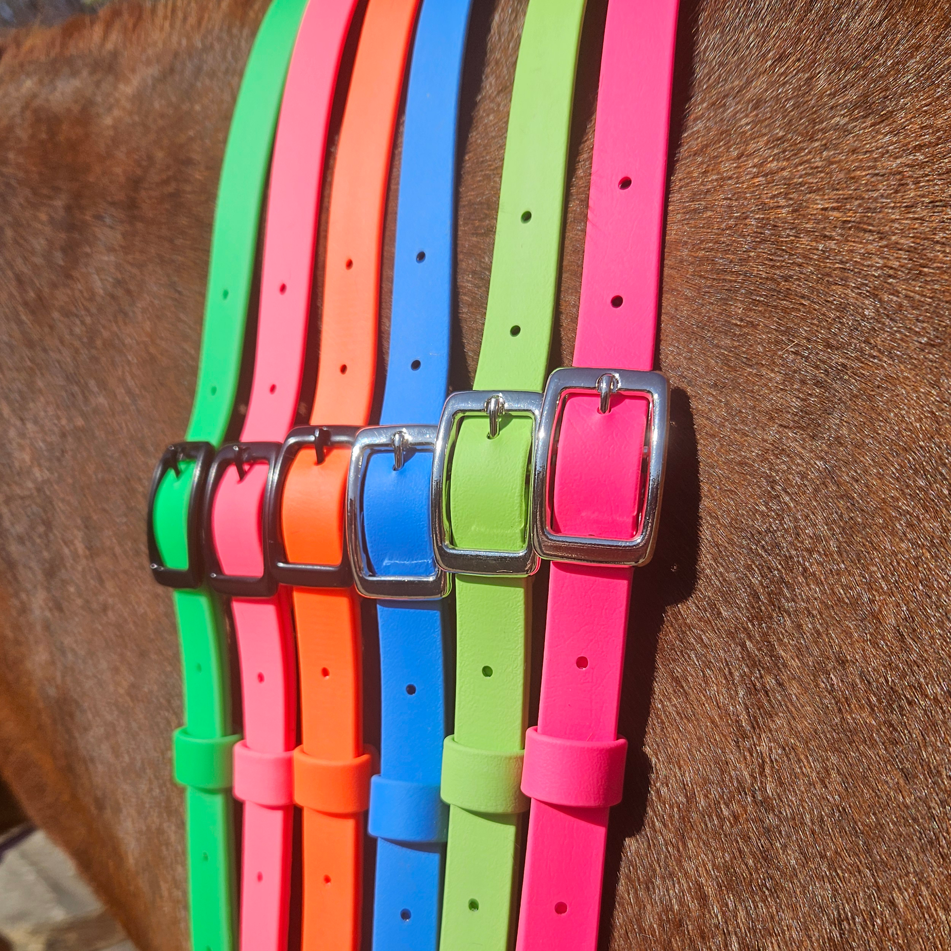 BioThane Adjustable Horse Neck Strap | The Pop Collection - by Ponies and Pups Five handcrafted BioThane® horse neck straps in vivid neon green, orange, blue, yellow, and pink displayed on a horse’s back. Each adjustable horse neck strap features a sturdy silver buckle and adjustable holes. Waterproof, stink-proof, and durable, designed for horse riders, offering bold style and practical performance for active equines and their owners in East Sussex.