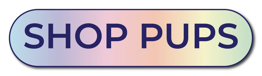 A rounded rectangular button displaying the words 'SHOP PUPS' in bold, dark blue text over a soft rainbow-gradient background. This graphic is designed for website navigation, guiding customers directly to premium handcrafted BioThane® dog gear in a variety of colours.