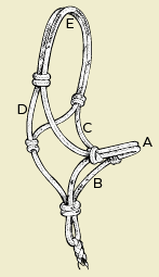 Size Guide for Horse Halter