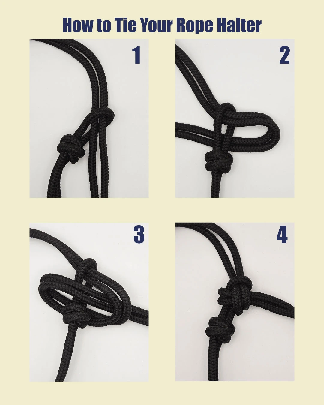 How to secure your Halter