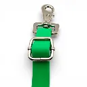 slider-biothane-fillet-strap-electric-lime-neon-green-web.webp