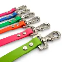 group-shot-biothane-fillet-strap-pop-collection-web.webp