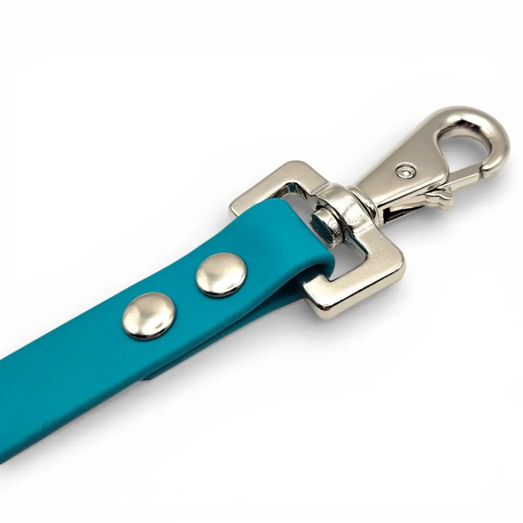 clip-biothane-fillet-strap-caspian-teal-web.webp