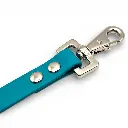 clip-biothane-fillet-strap-caspian-teal-web.webp