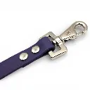 clip-biothane-fillet-strap-odessa-purple-web.webp