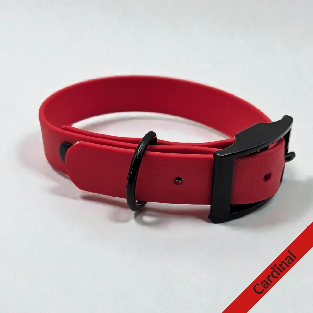 Essential - Classic Collar - Cardinal Studio- shop.webp