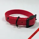Essential - Classic Collar - Cardinal Studio- shop.webp