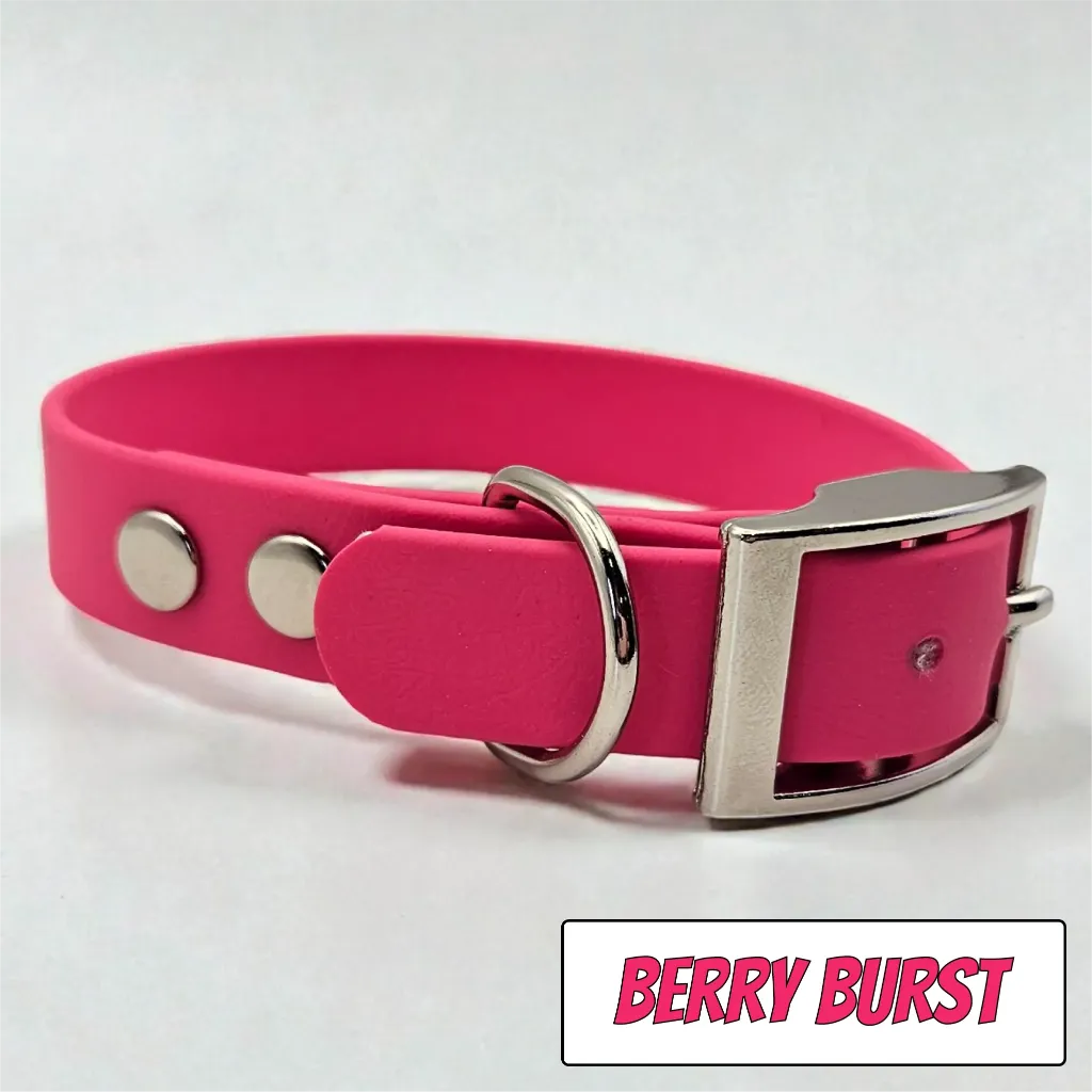 POP - Classic Collar - Berry Burst Studio- shop.webp