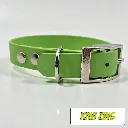 POP - Classic Collar - Pioneer Milo Forest- shop.webp