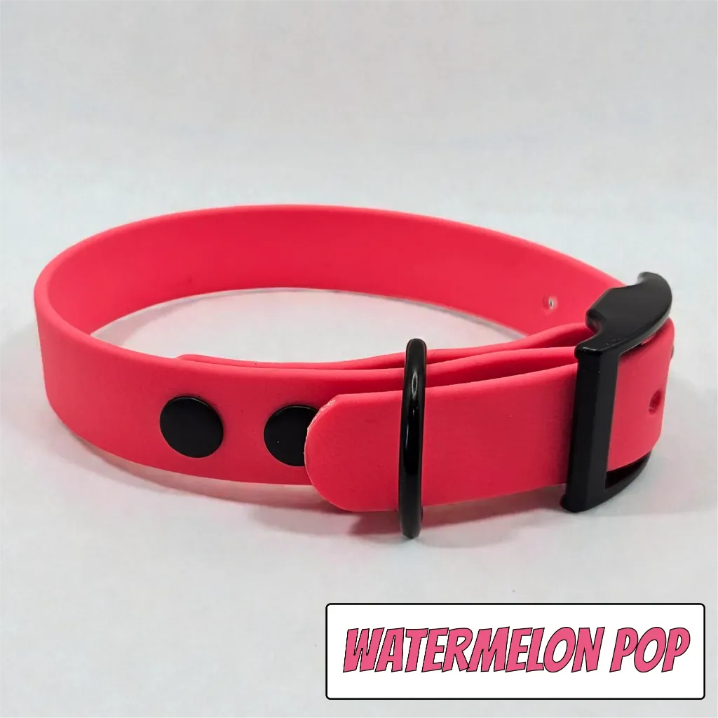 POP - Classic Collar - Watermelon Pop Studio- shop.webp