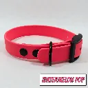 POP - Classic Collar - Watermelon Pop Studio- shop.webp