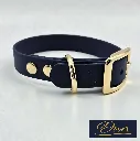 Signature - Classic Collar - Dover Studio- shop.webp