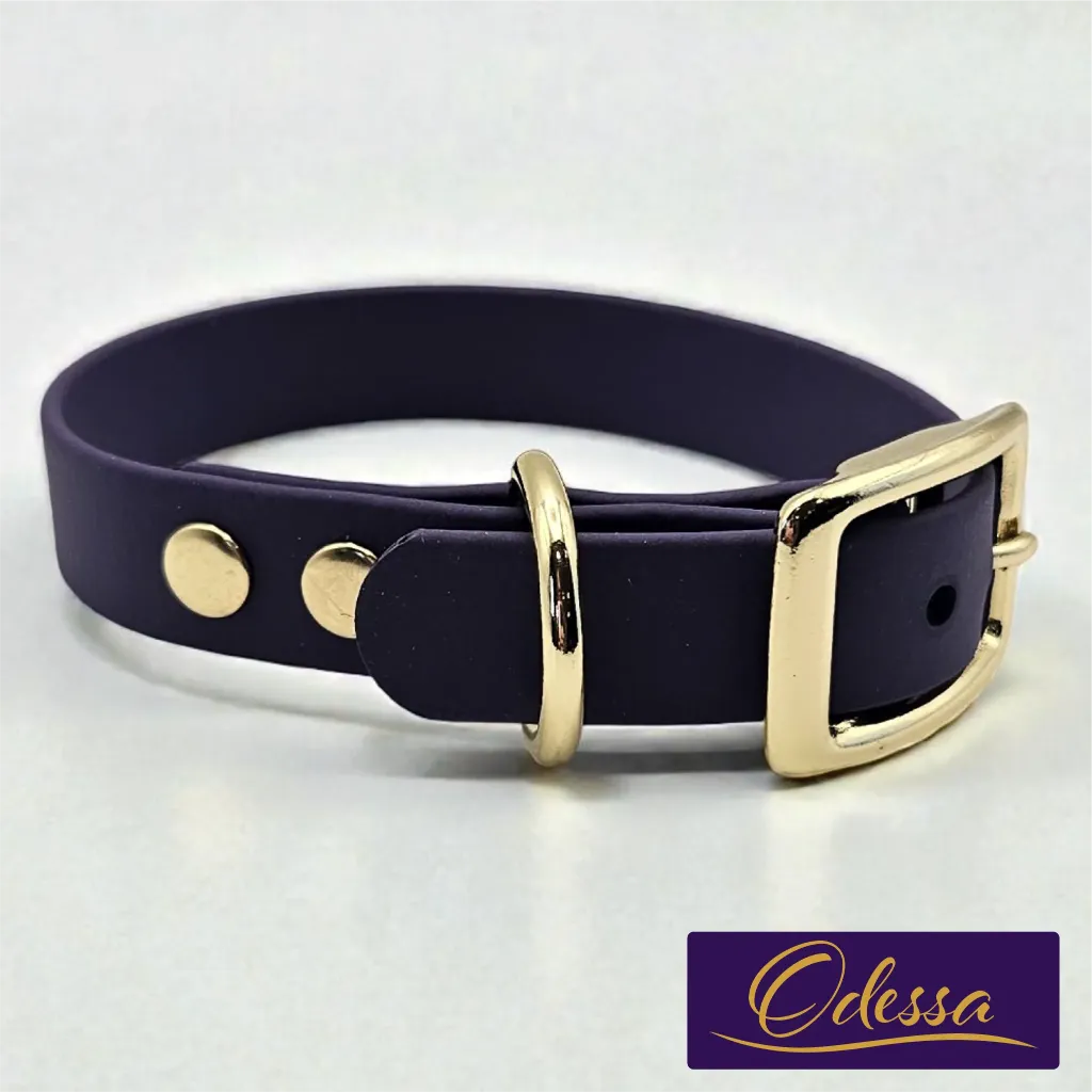 Signature - Classic Collar - Odessa Studio- shop.webp