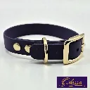 Signature - Classic Collar - Odessa Studio- shop.webp
