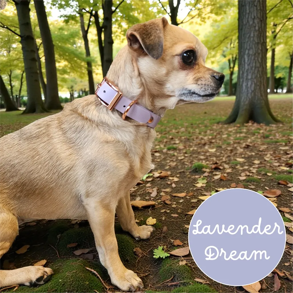 Whisper - Classic Collar - Lavender Dream Lily Forest- shop.webp