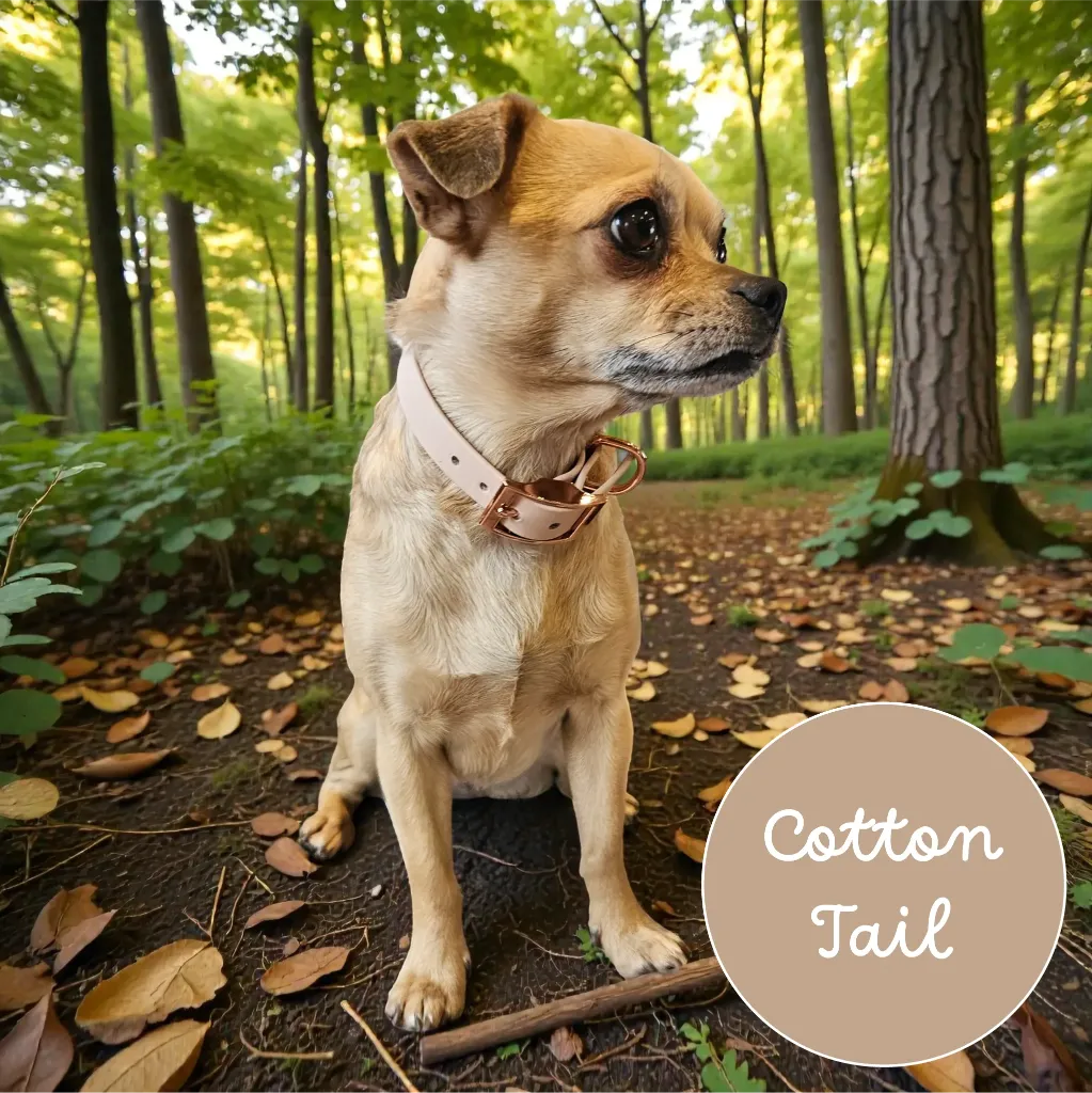 Whisper - Classic Collar - Cotton Tail Lily Forest- shop.webp