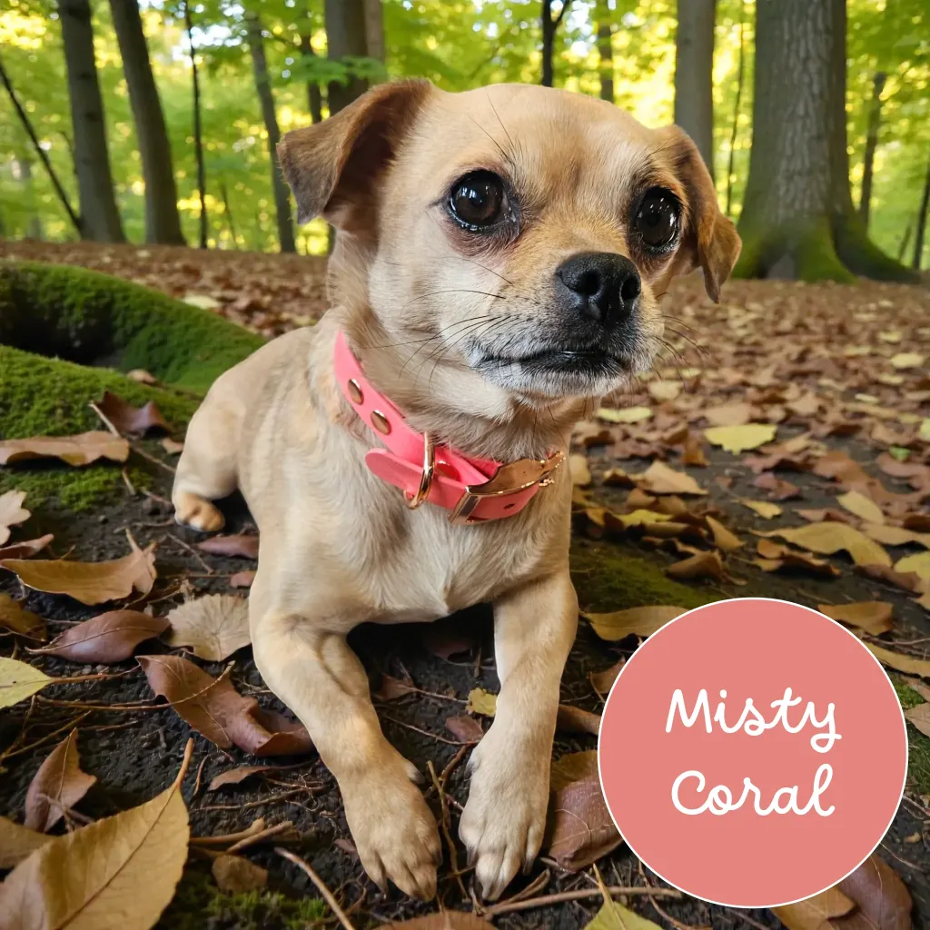 Whisper - Classic Collar - Misty Coral Lily Forest- shop.webp