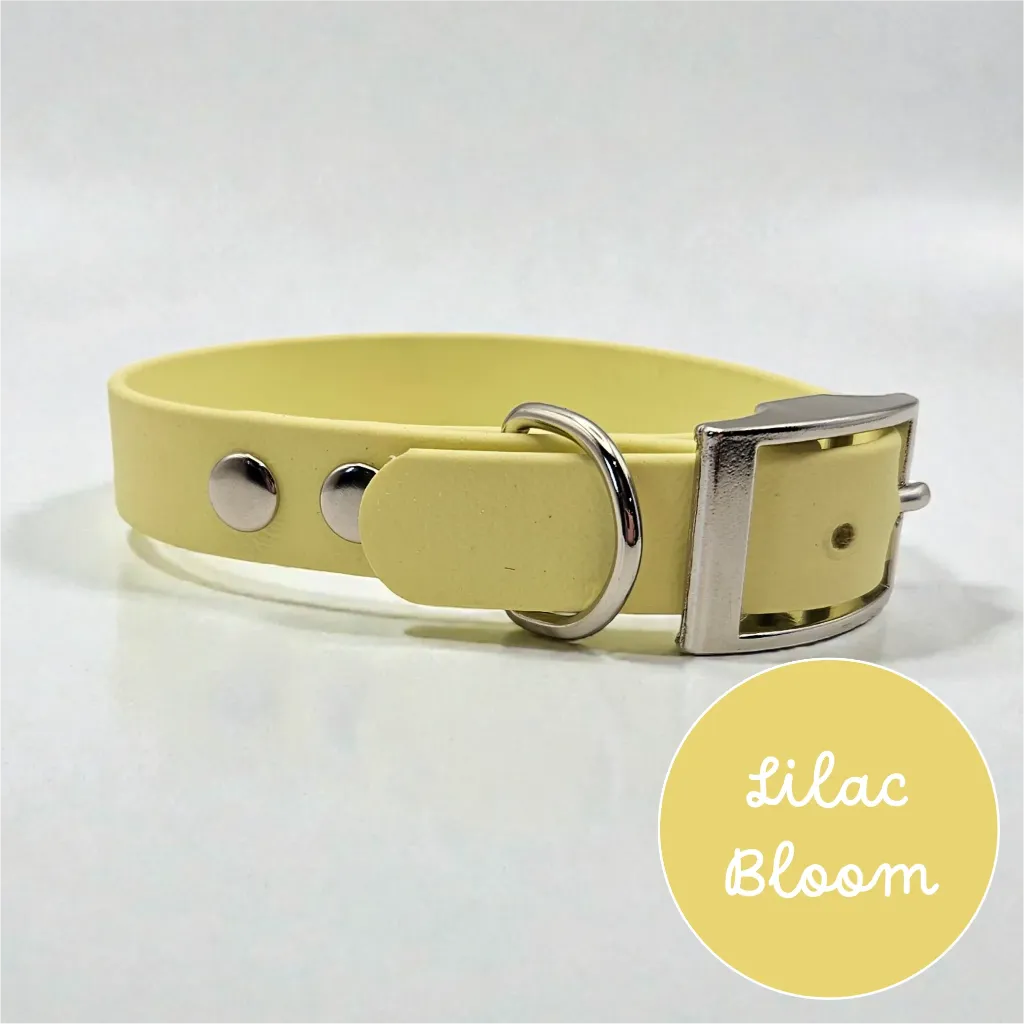 Whisper - Classic Collar - Lilac Bloom Studio- shop.webp