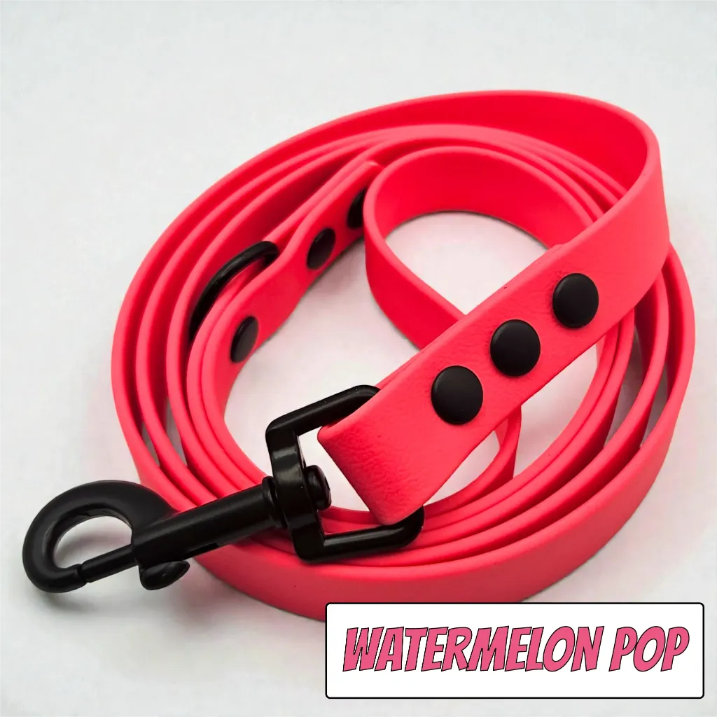 pop collection - classic lead - Watermelon Pop Studio 2- shop.webp