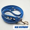 pop collection - classic lead - Blue Raspberry Studio 1- shop.webp