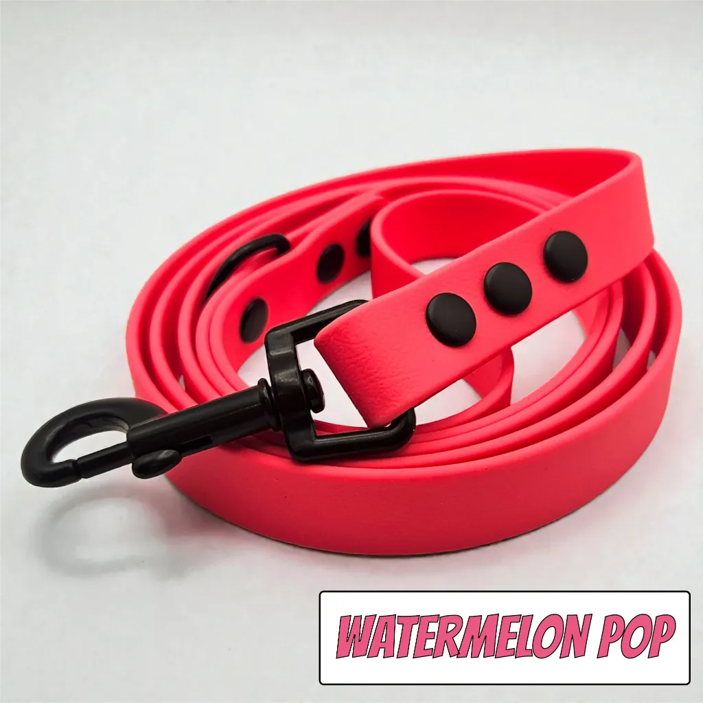 pop collection - classic lead - Watermelon Pop Studio 1- shop.webp