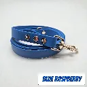 pop collection - classic lead - Blue Raspberry Studio 2- shop.webp